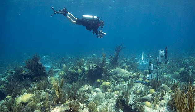 A BIOS intern tests equipment while diving on a reef in Bermuda