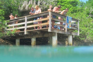 Students in the BIOS Coral Reef Ecology class visit Blue Hole Park in Bermuda