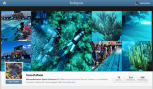 BIOS Instagram homepage