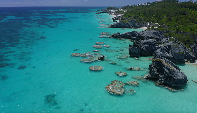 “The State of Bermuda’s Waters: A Snapshot of Bermuda’s Exclusive Economic Zone from the Coastline to 200 nm” is a new report released by the Government of Bermuda. It highlights the status, uses, threats, and governance of the island’s marine environments and underwater cultural heritage, such as shipwrecks, in Bermuda’s exclusive economic zone (EEZ). BIOS scientists contributed scientific knowledge and data sets to the report, which will be used to help inform future marine planning processes.