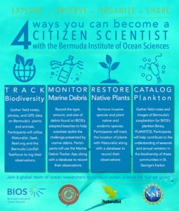 Citizen science poster