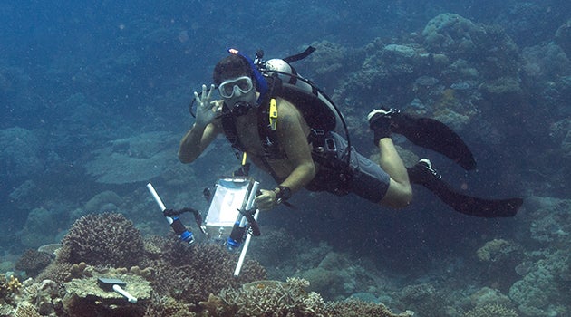 BIOS reef systems ecologist Eric Hochberg was recently awarded two NASA grants to continue work related to the four-year NASA COral Reef Airborne Laboratory (CORAL) mission, which he led as the principal investigator. Here, Hochberg prepares to measure the reflectance of the seafloor on a reef in Palau in May 2017 as part of the CORAL mission. The underwater data were used to validate the remote sensing aspect of the project. The work from CORAL underpins both of the new NASA grants.