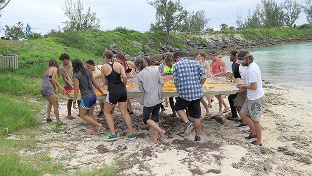 Volunteers participate in a clean up at Whalebone Bay Bermuda