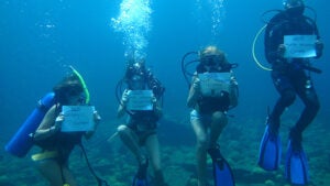 Students participate in an underwater lesson plan on the Sargasso Sea