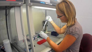 Helena Reinardy works in the Molecular Discovery Lab at BIOS