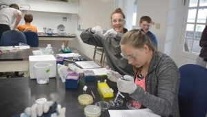 Furman University students work in the lab during the BIOS Oceans and Human Health course
