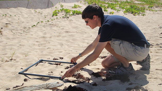 A researcher uses a quadrat during a beach survey for microplastics